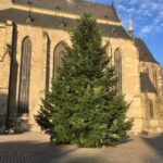 vánoční strom 2020