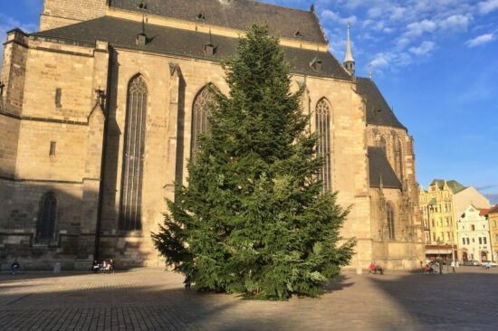 vánoční strom 2020