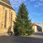 vánoční strom 2020