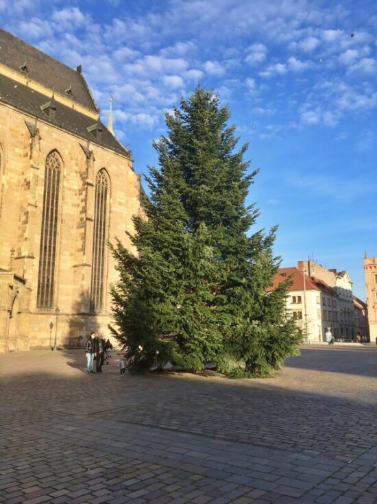 vánoční strom 2020