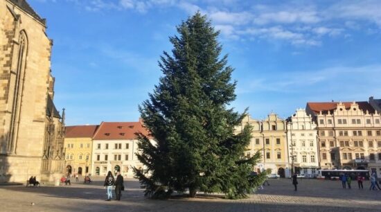 vánoční strom 2020