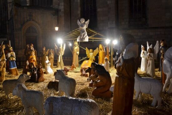 Vánoční strom Plzeň 2020