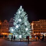 Vánoční strom Plzeň 2020