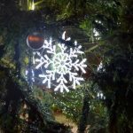 Vánoční strom Plzeň 2020