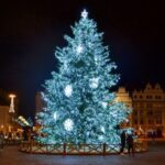 Vánoční strom Plzeň 2020