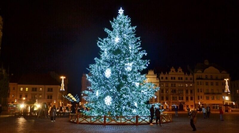 Vánoční strom Plzeň 2020