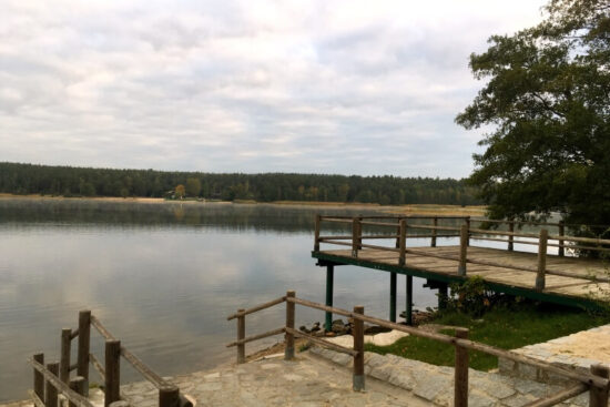 Velký bolevecký rybník