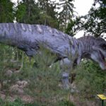 Dinopark Plzeň