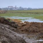 Otrávení orli na Klatovsku