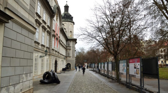 výstava Tichý svět