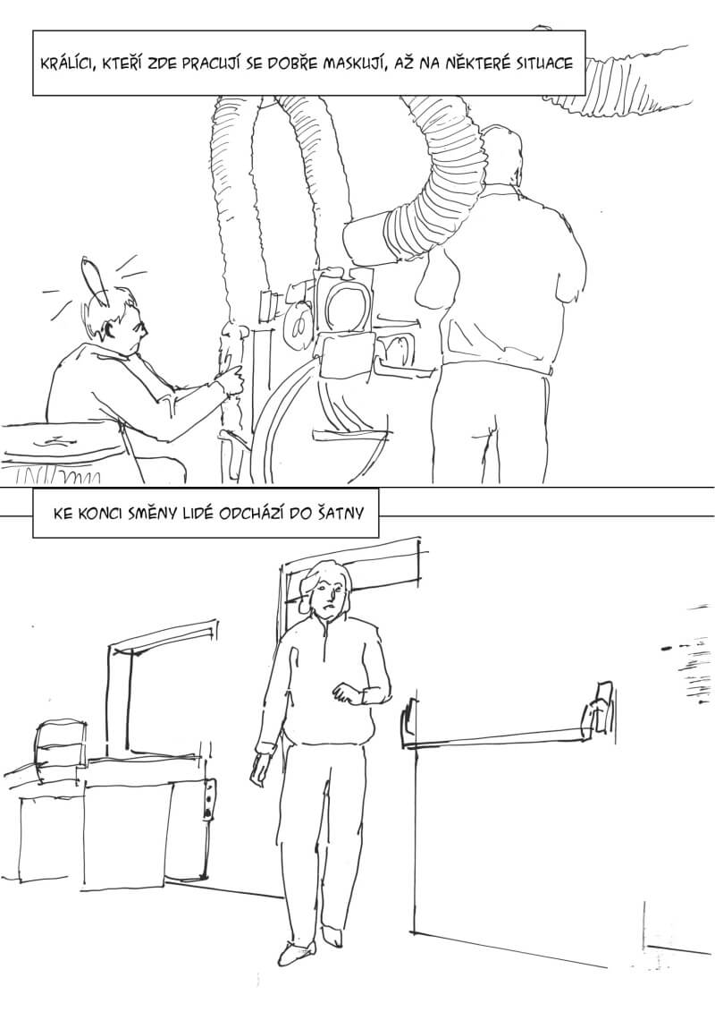 komiks králíci na lochotíně