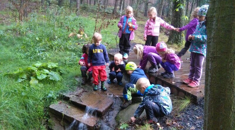 Lesní školka Větvička