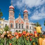 Květiny v sadovém okruhu