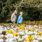 Květiny v sadovém okruhu