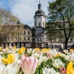 Květiny v sadovém okruhu