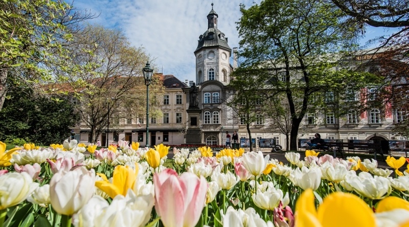 Květiny v sadovém okruhu