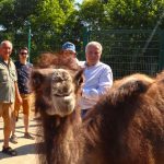 Křtiny malé velbloudice