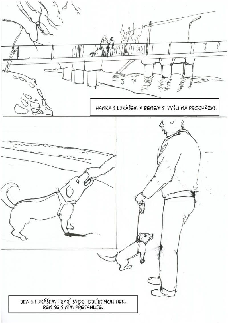 komiks králíci na lochotíně