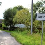 Borovy, v pozadí Berkův rodný dům