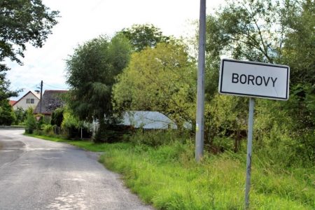 Borovy, v pozadí Berkův rodný dům