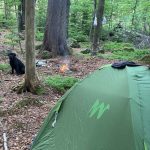 nelegální nocování