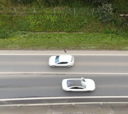 Sražená vydra říční nedaleko Plzně