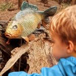 Kapr v životní velikosti