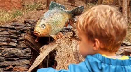 Kapr v životní velikosti