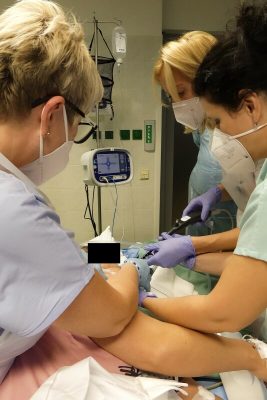 Metoda Stretta v Plzni