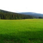 Okolí Staré Hůrky