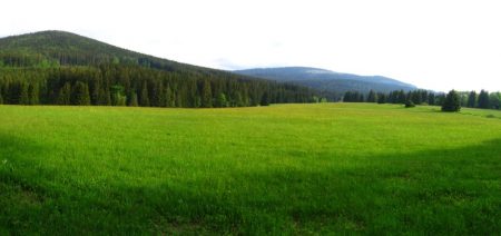 Okolí Staré Hůrky