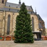 Vánoční strom 2021
