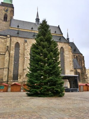 Vánoční strom 2021