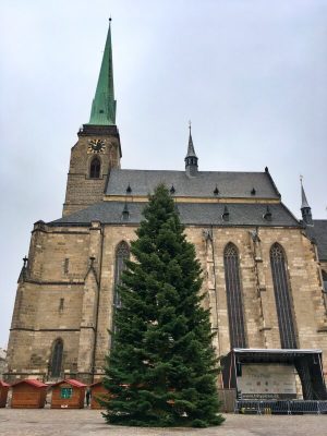 Vánoční strom 2021