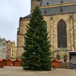 Vánoční strom 2021