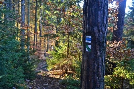 Značky v Kokotském polesí