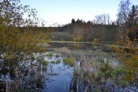 Horní kokotský rybník