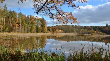 Dolní kokotský rybník