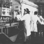 Pivovar Horšovský Týn