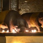 Vánoční výzdoba v Přešticích