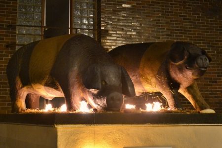 Vánoční výzdoba v Přešticích