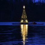 Strom na Borské přehradě