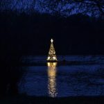 Strom na Borské přehradě