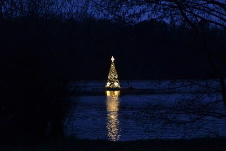 Strom na Borské přehradě