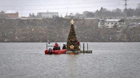 Vánoční strom na Borské přehradě