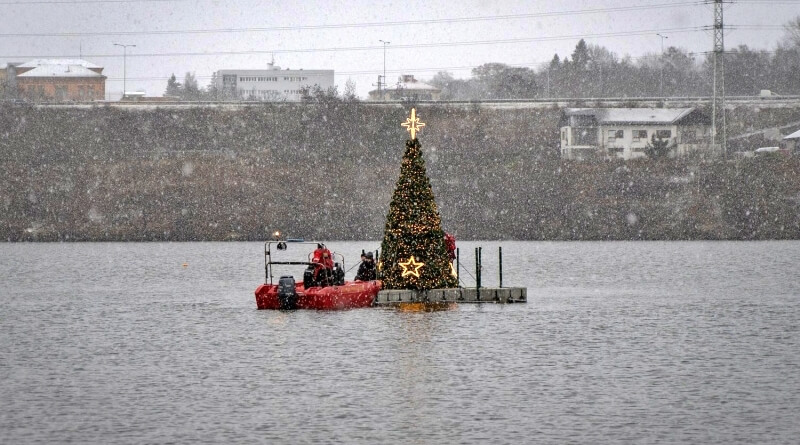 Vánoční strom na Borské přehradě