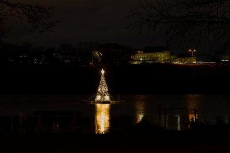 Vánoční strom na Borské přehradě