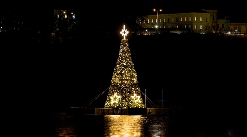 Vánoční strom na Borské přehradě