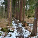 Alej mezi kamennými sochami