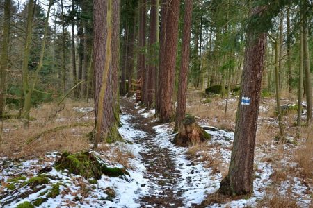 Alej mezi kamennými sochami